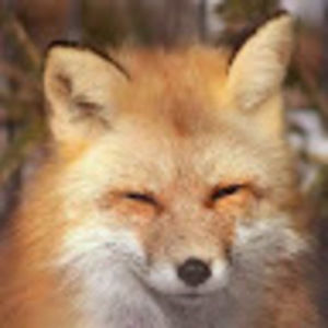 Meet your Posher, Floppie